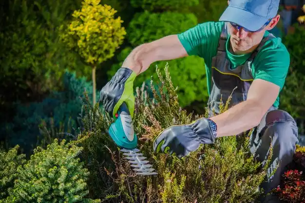 landscaping services Kidron